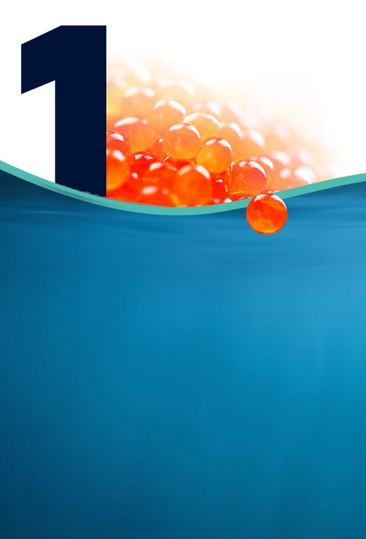 slide-1